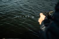 5'2" E-Glass Trolling Rod 5'2" E-Glass Trolling Rod