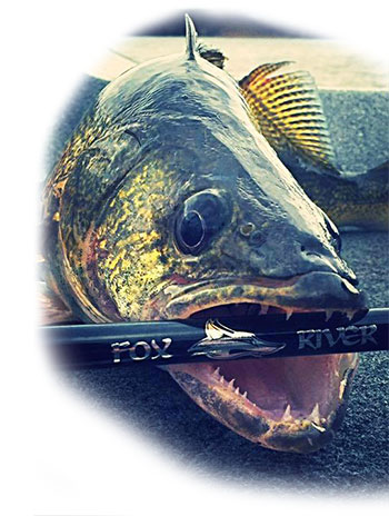Fox River Rods Walleye Fishing