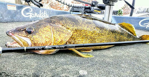 Fox River Rods FR66MLS Walleye Fishing