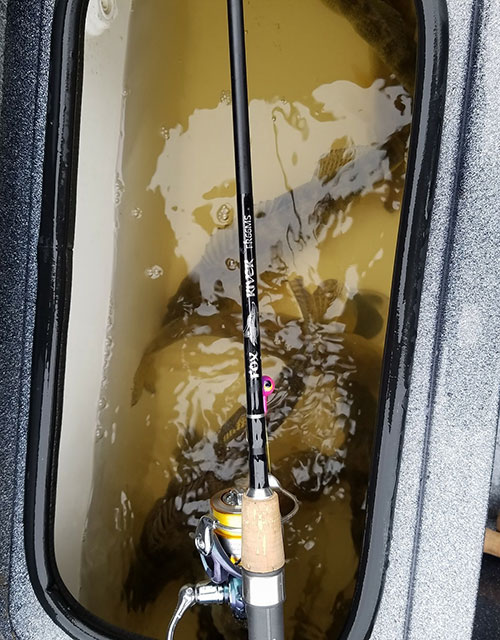 Walleye Fishing Spinning Rods